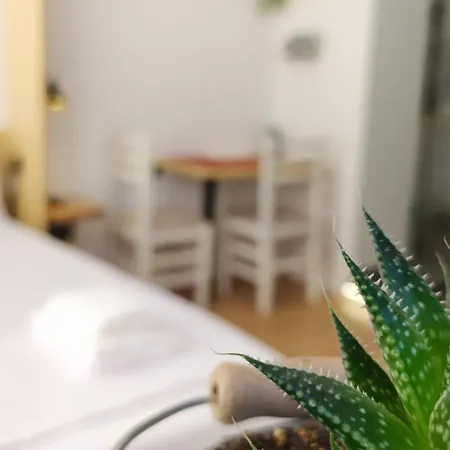 Beautiful Modern In Bllok Apartment Tirana