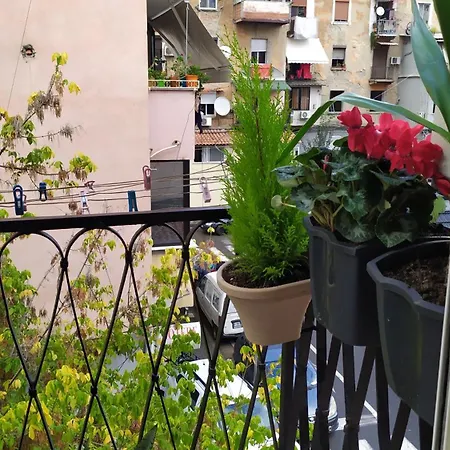 Beautiful Modern In Bllok *