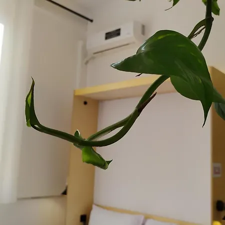 Beautiful Modern In Bllok * تيرانا