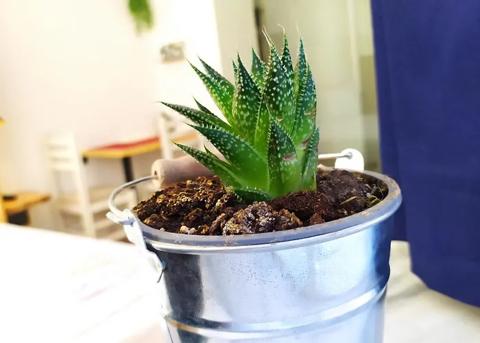 Beautiful Modern In Bllok Tirana